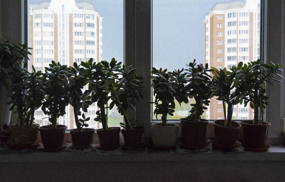 самоизоляция