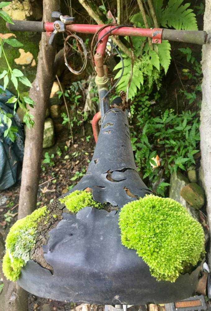 Photograph by Suranjan Sigdel