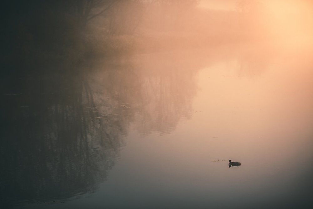 Photograph by Дмитрий