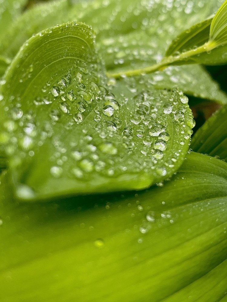 Photograph by Андрей Кротов