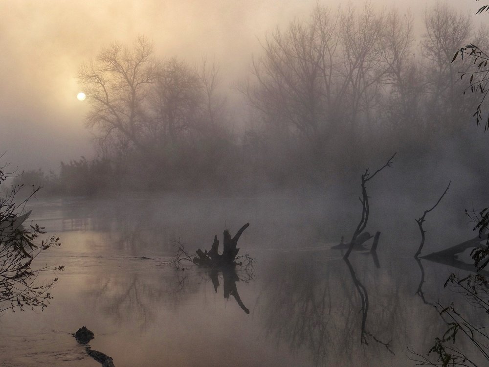 Photograph by Константин Шишкалов