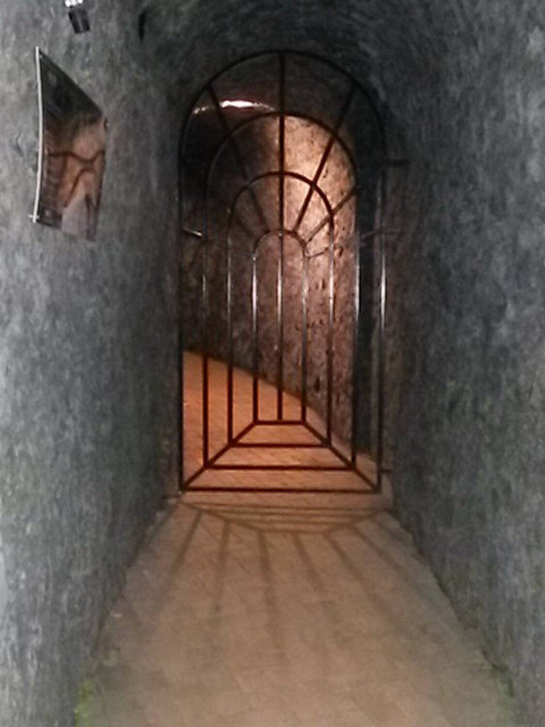 Photo #4649562