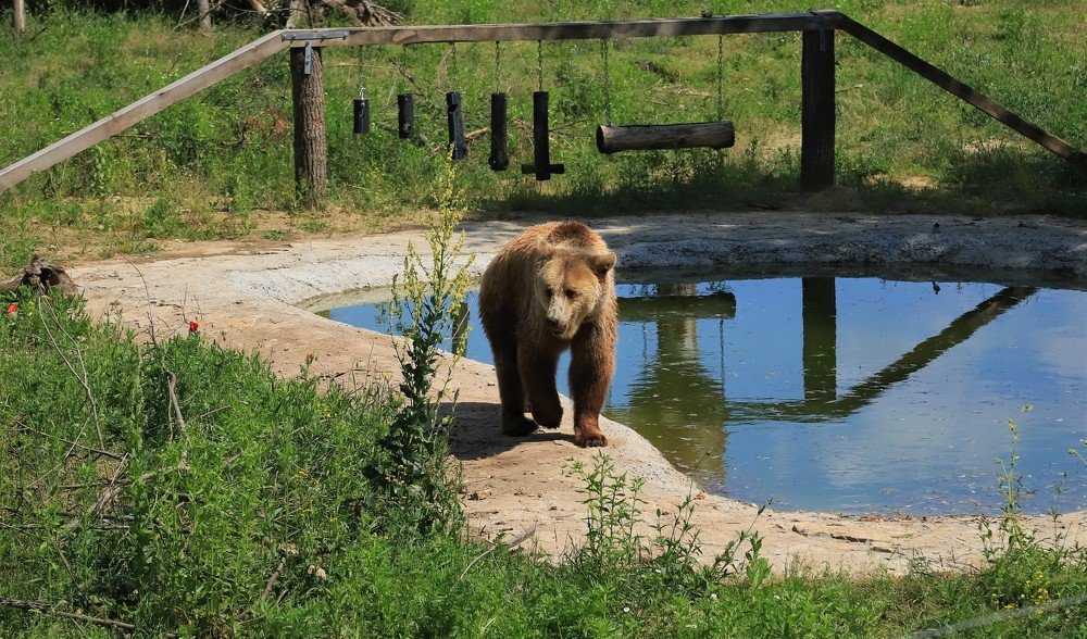 Photograph by Андрей Телибаев