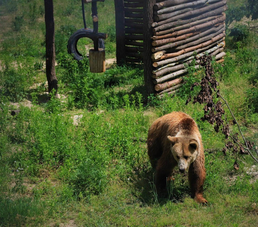 Photograph by Андрей Телибаев