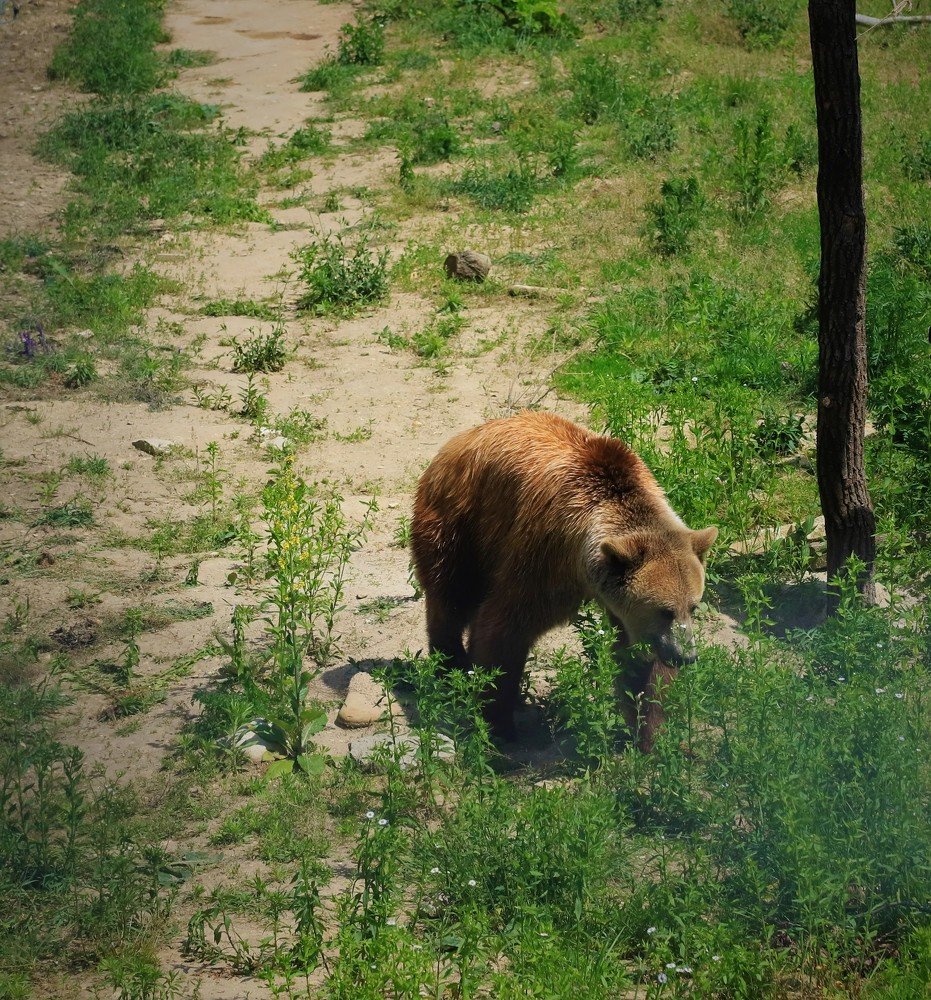 Photograph by Андрей Телибаев