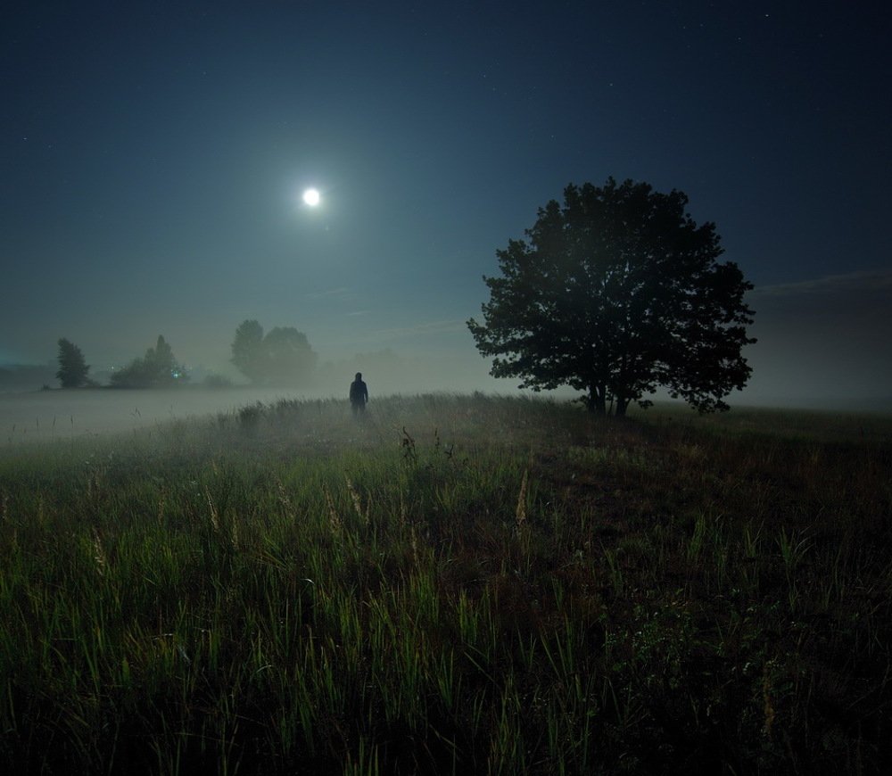 Photograph by Сергей Шляга