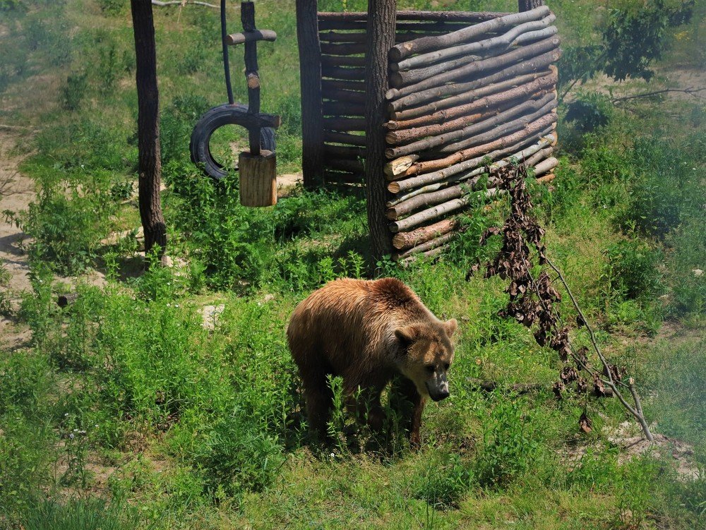 Photograph by Андрей Телибаев