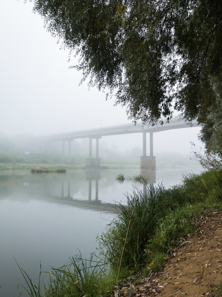 Photograph by Камила Гюндогар