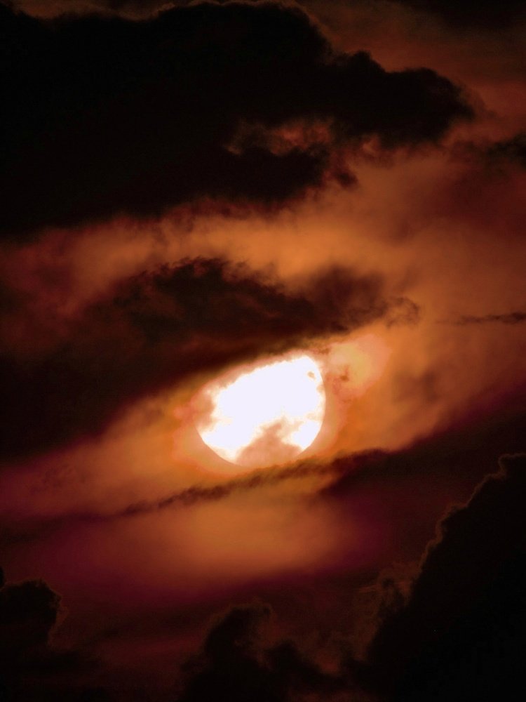Photograph by Samarth Sharma