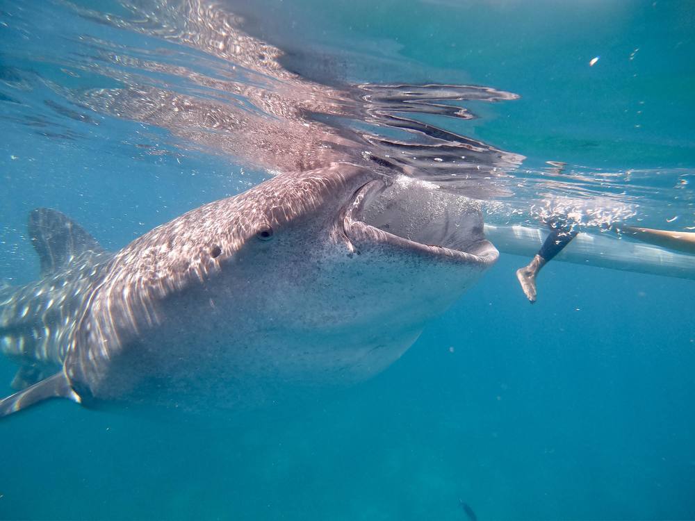 Photograph by Дмитрий Гайдаров