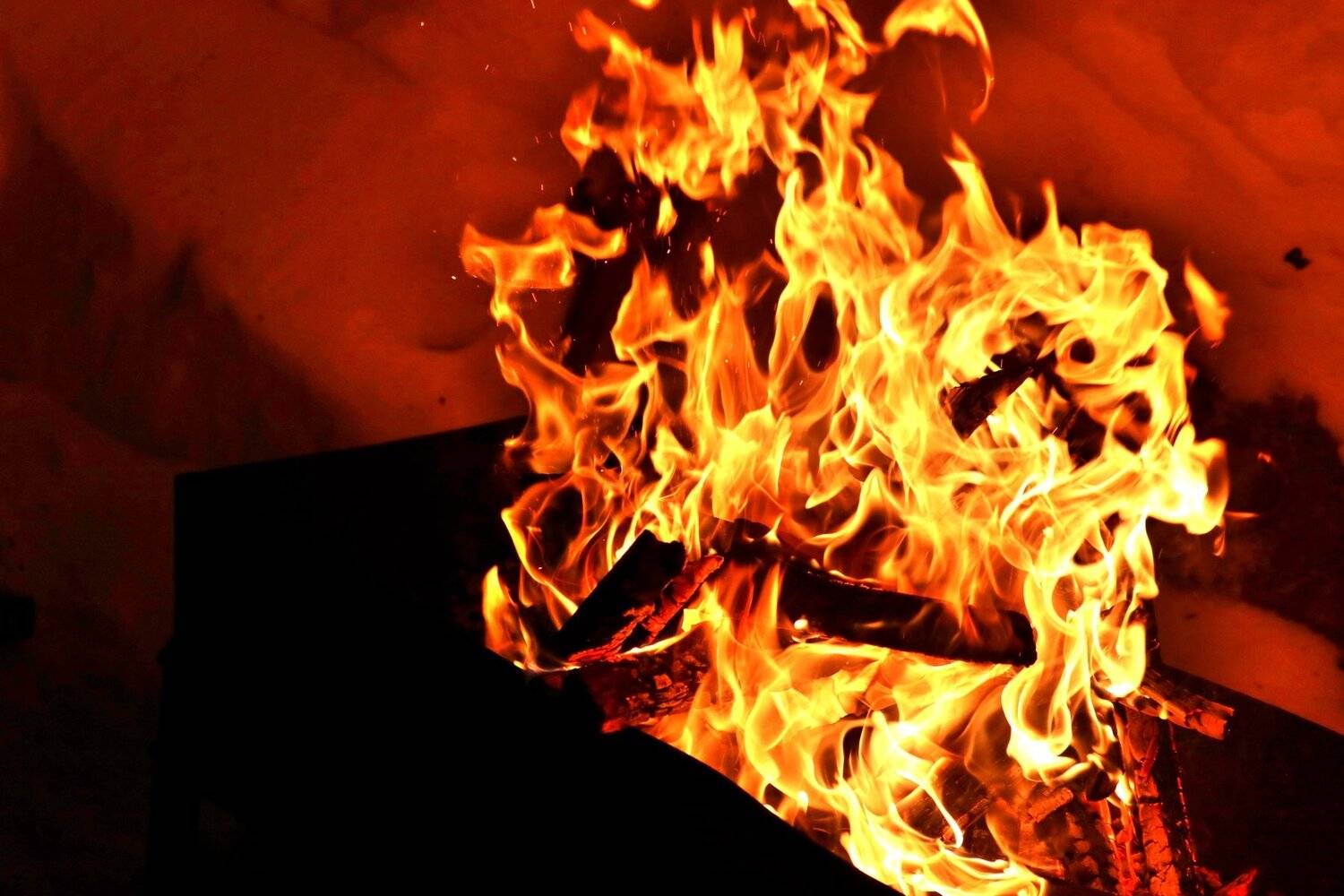 Фотография #4649704