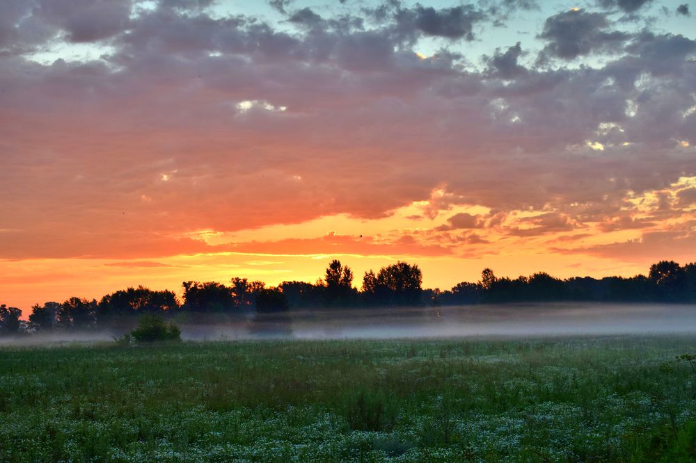 Туманное ограждение для браконьеров.