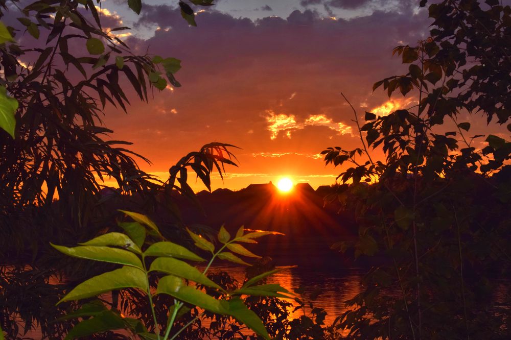 Лучи жизни на Земле.