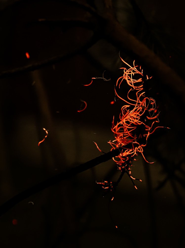 Фотография автора Евгения Аверкиева