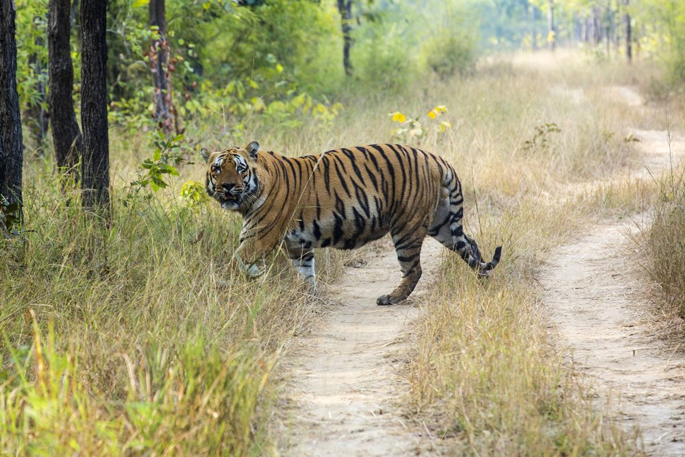 Photograph by Dhananjay Jadhav