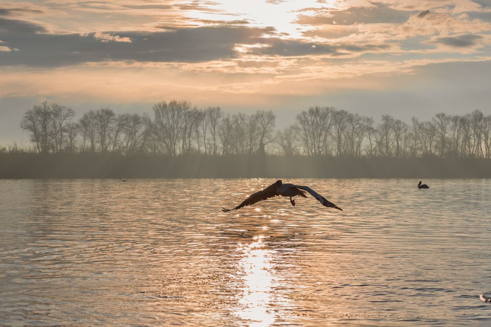 Photograph by  Spyros Ktenas