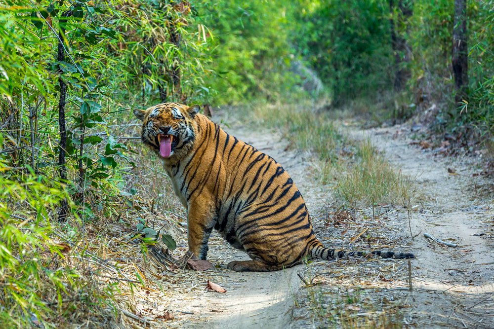 Photograph by Dhananjay Jadhav