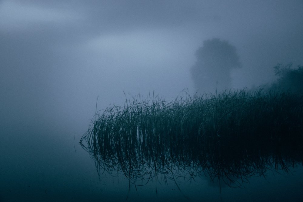 Photograph by Zorikhin Mikhail