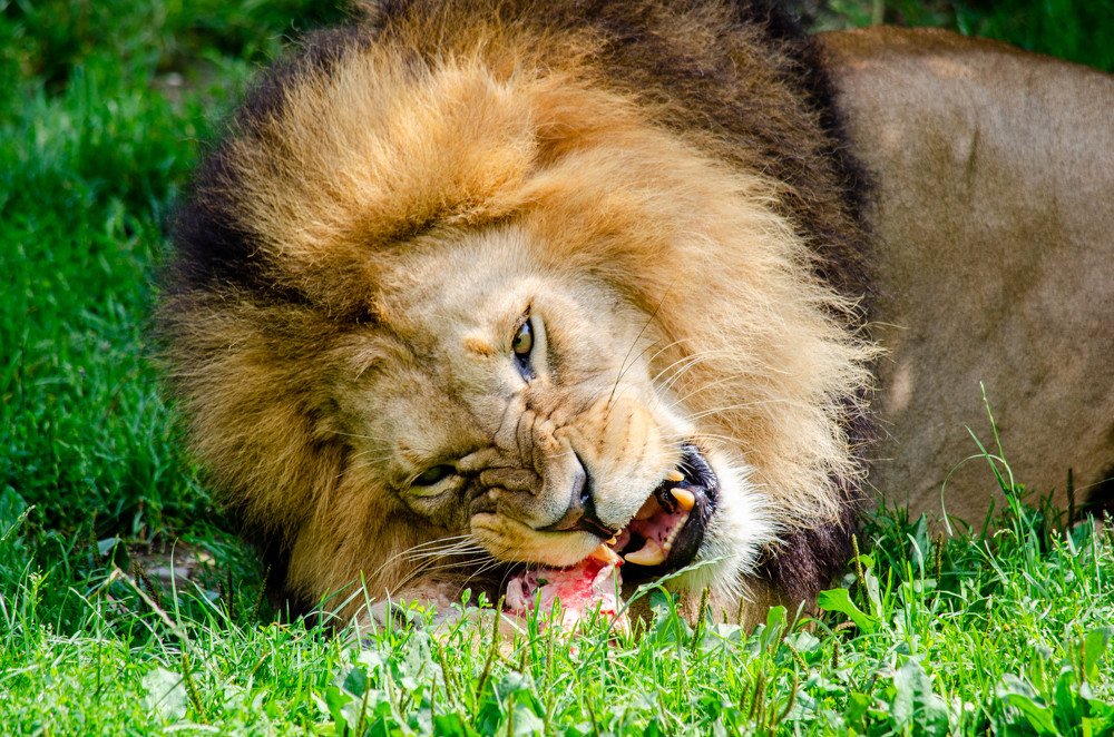 Photograph by Олег Смирнов