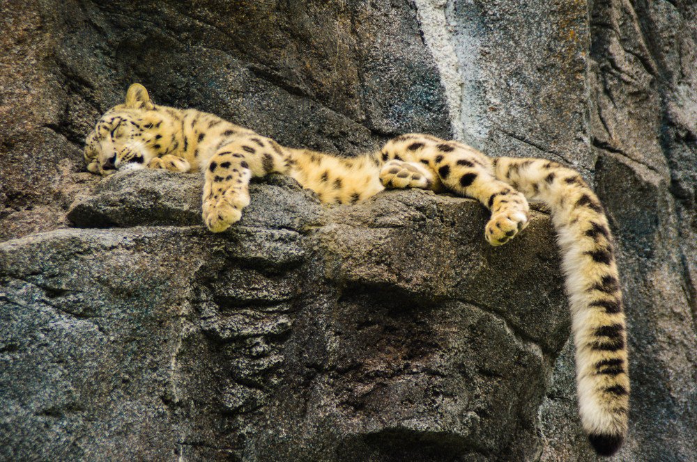 Photograph by Олег Смирнов