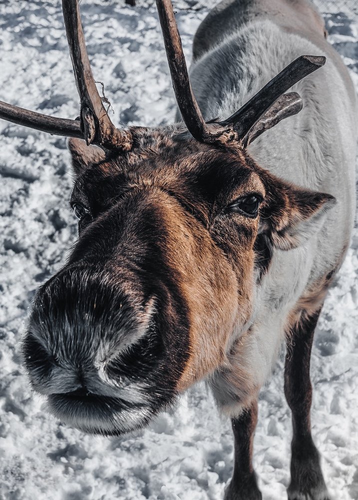 Photograph by Игорь Дудковский