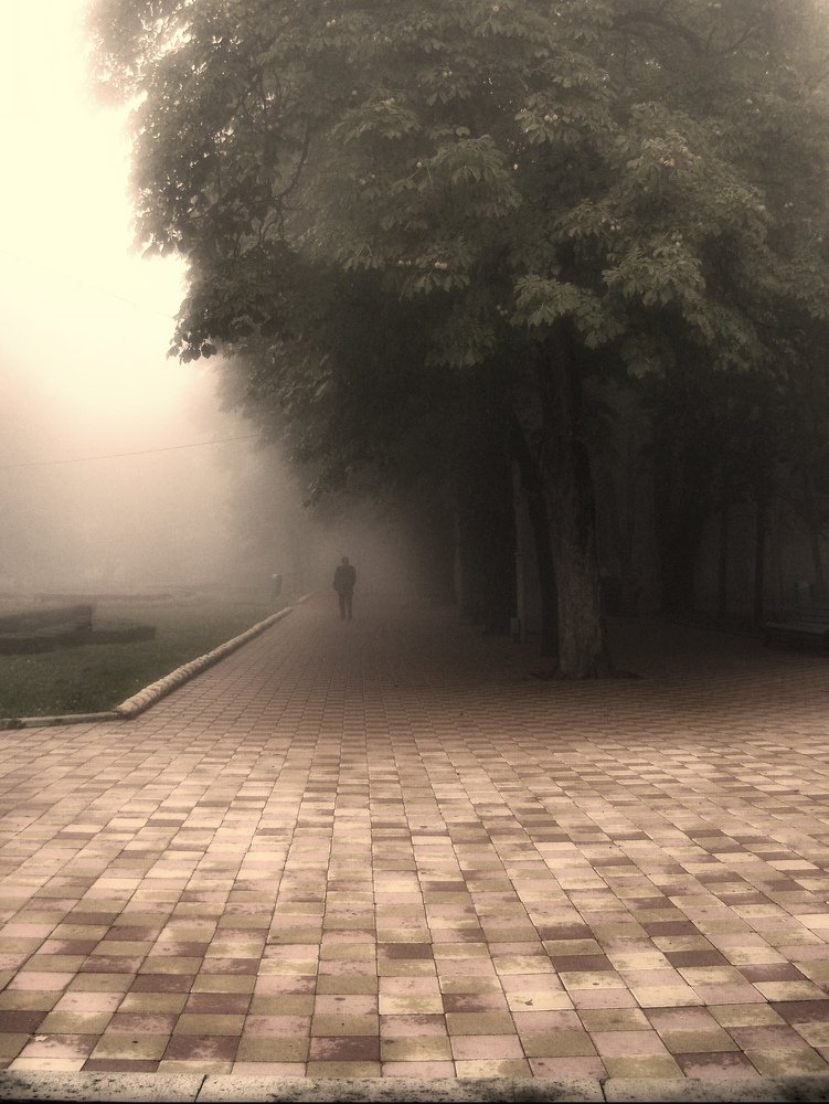 Photograph by Хлопоня Михаил