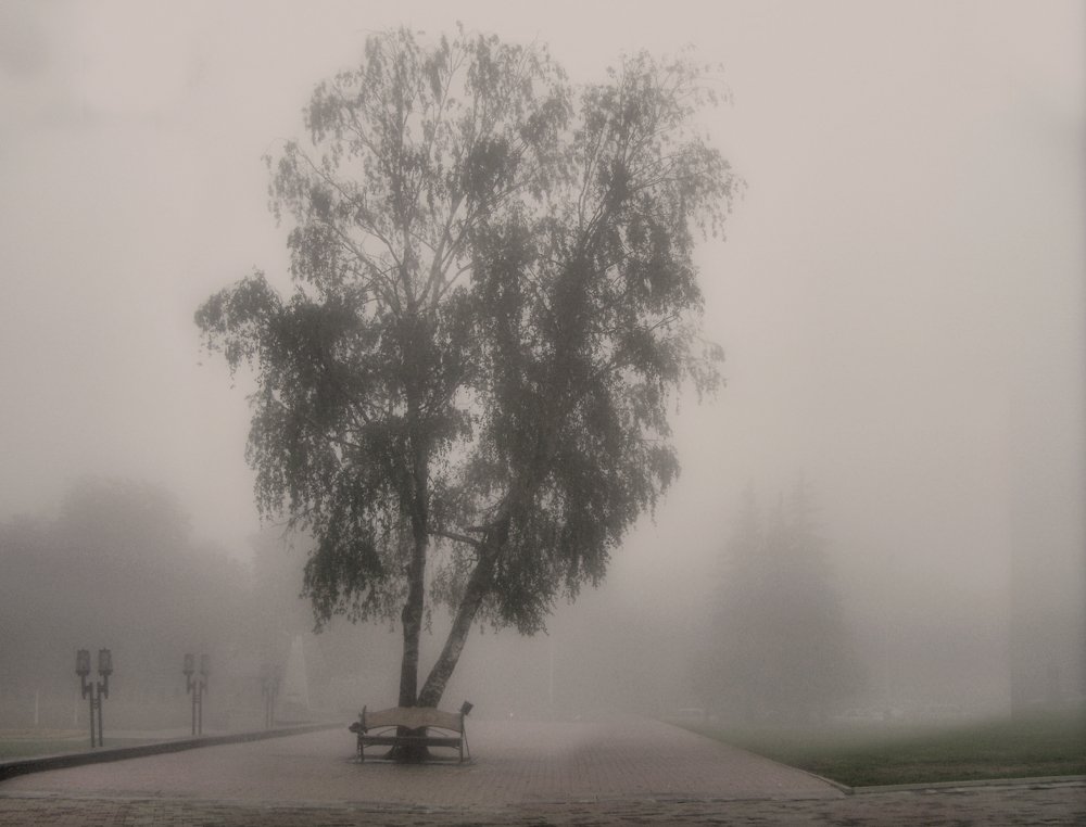 Photograph by Хлопоня Михаил