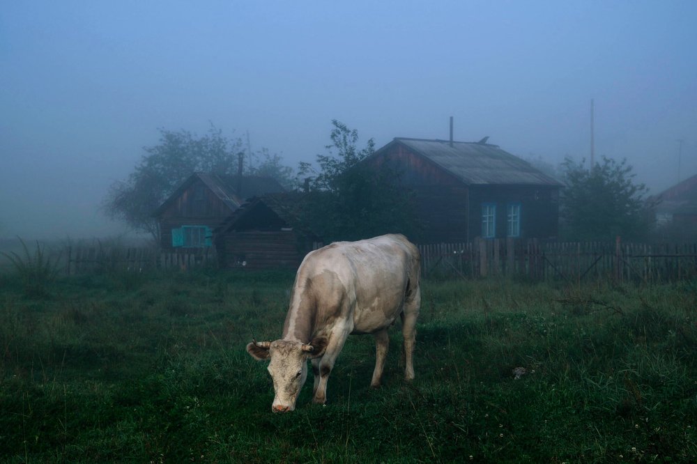 Photograph by Екатерина Назарова