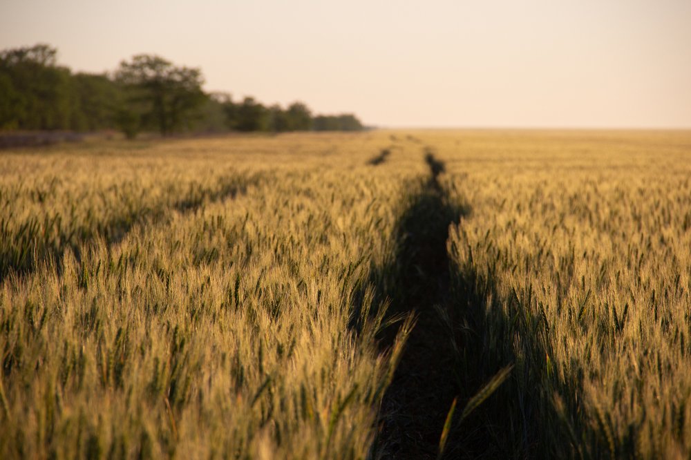 Photograph by Елена Демочкина