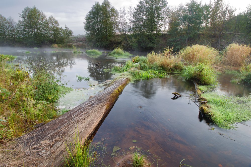 Photograph by Илья Левкович