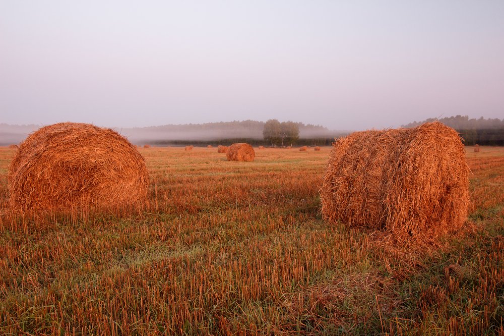 Photograph by Илья Левкович