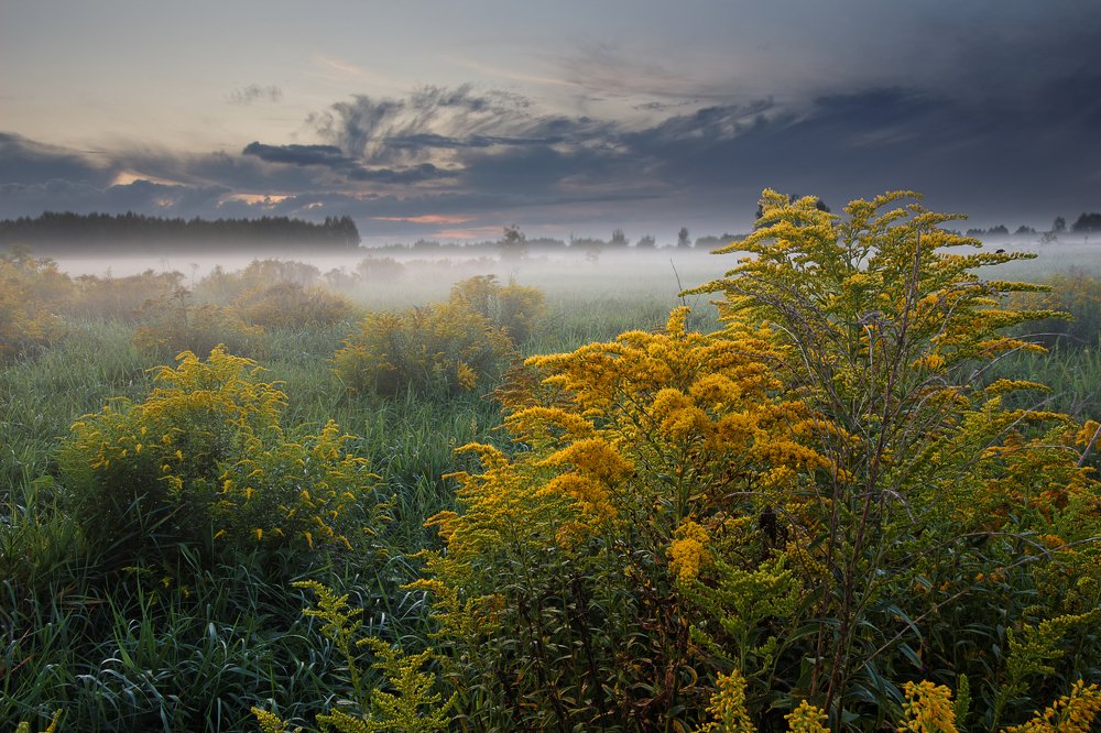 Photograph by Илья Левкович