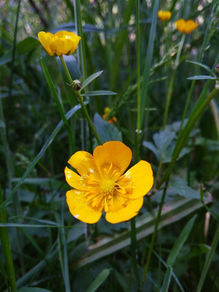 Photograph by Руслан