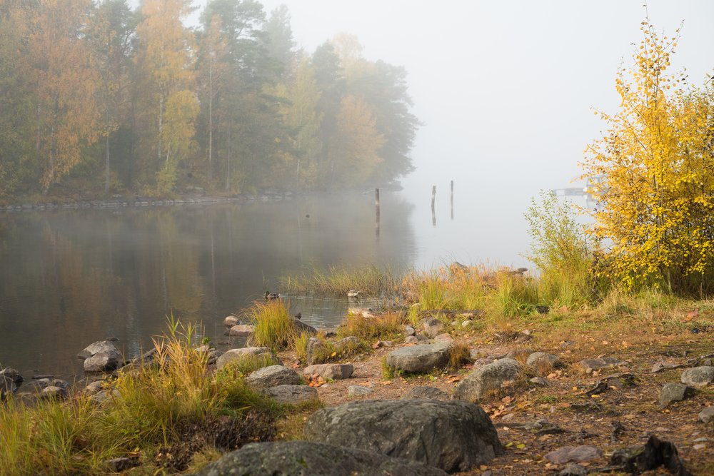 Photograph by Valentina