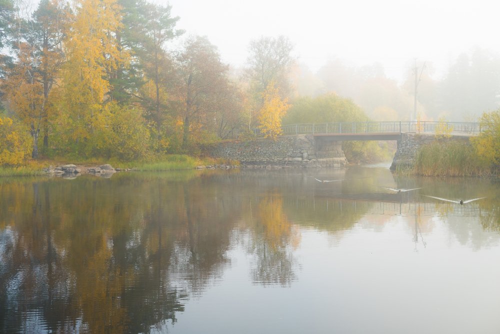 Photograph by Valentina