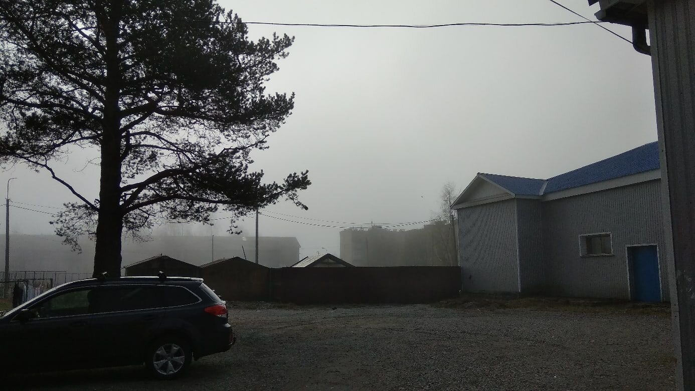 Photo #4650101