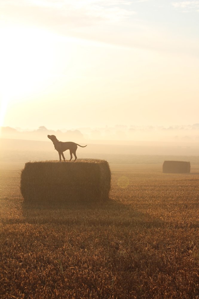 Photograph by Ksenia Bulygina