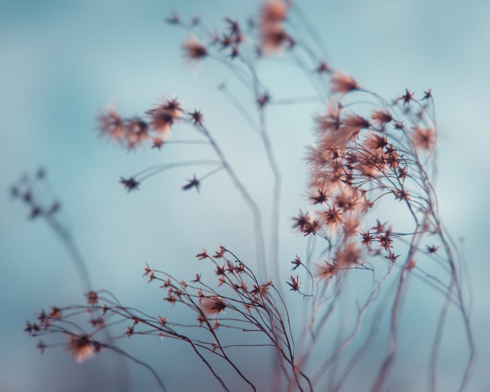 Photograph by Александр Битюков