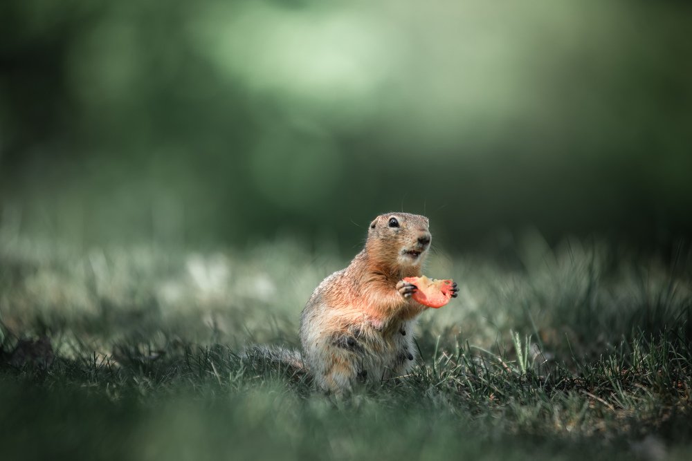 Photograph by Шихалеева 