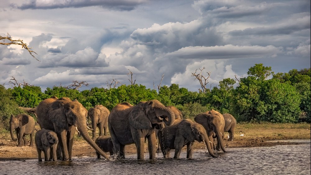 Photograph by Евгений Шварцман