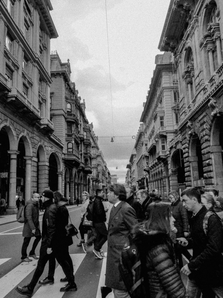Photo #4650449