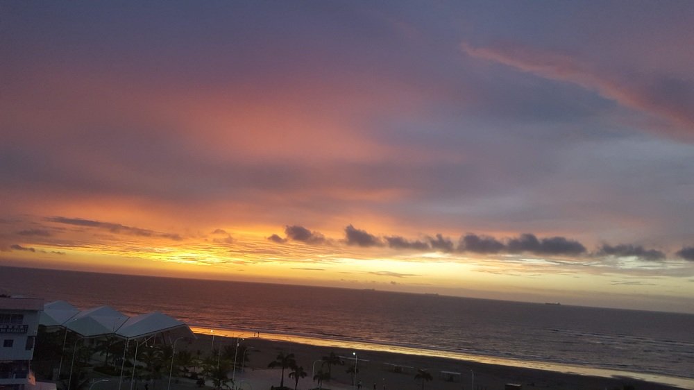 Photo #4650467