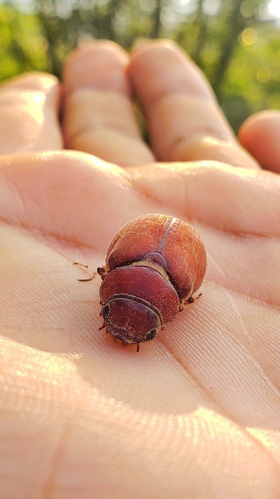 Photograph by Suranjan Sigdel