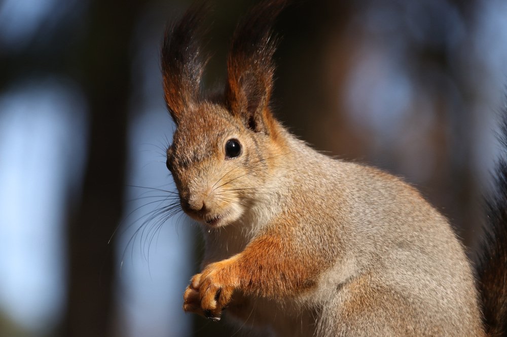 Photograph by Наталья Гайдукевич