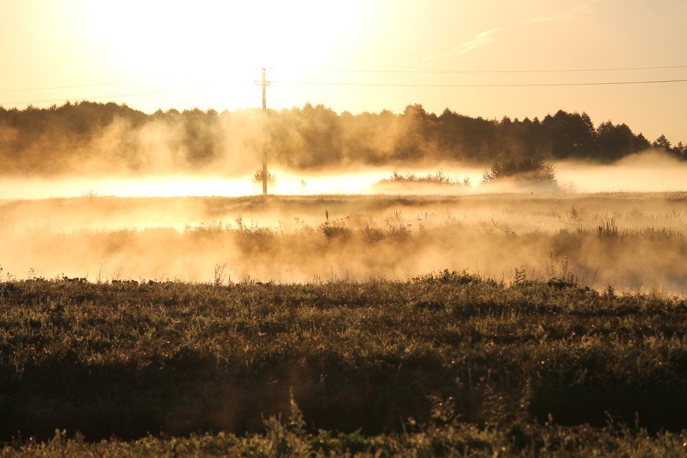 Photograph by Елена Мамай