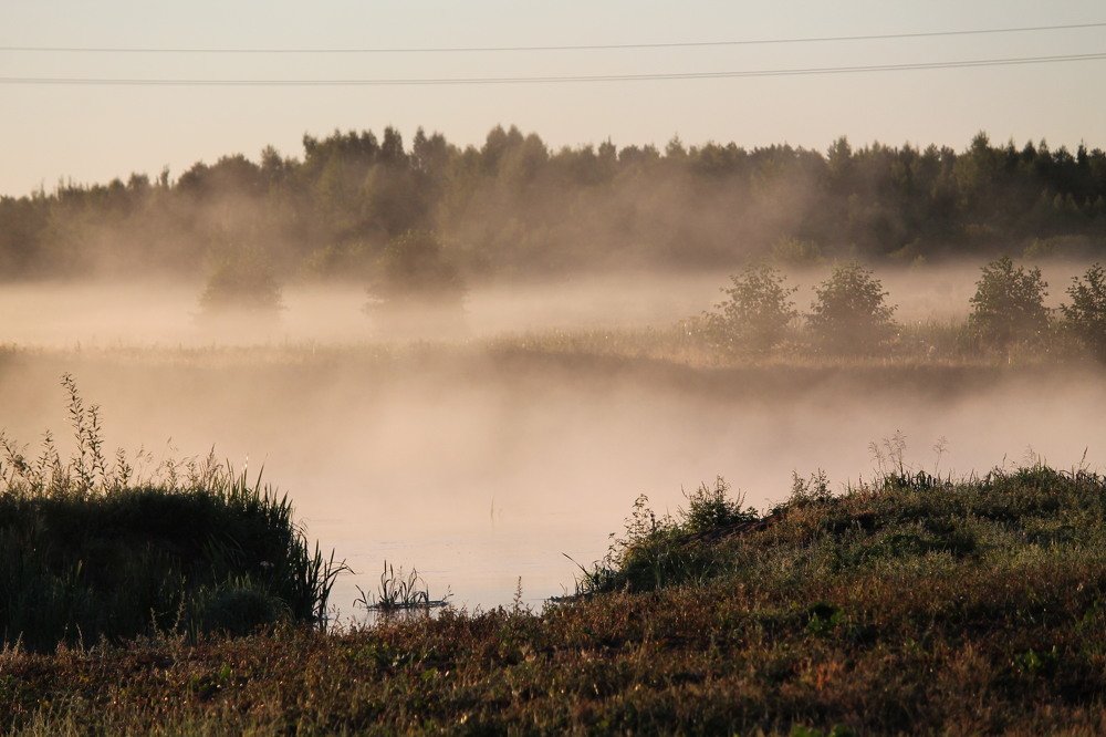 Photograph by Елена Мамай