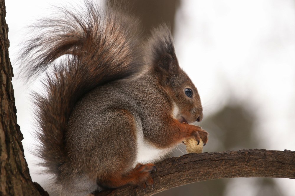 Photograph by Наталья Гайдукевич