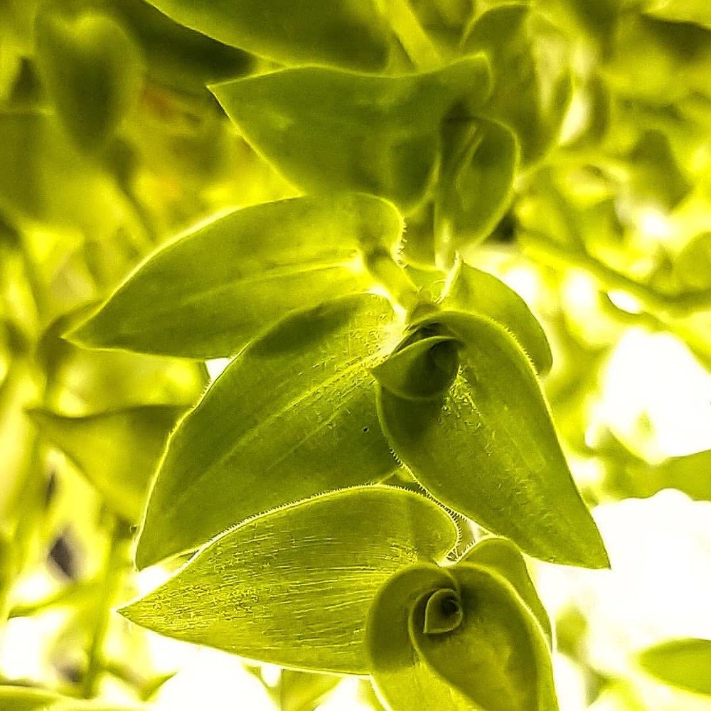 Photograph by Mikmal Ahmed