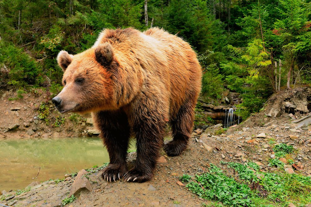 Photograph by Aeromast