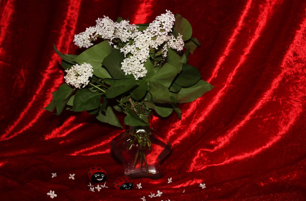 Photograph by Аля Портных